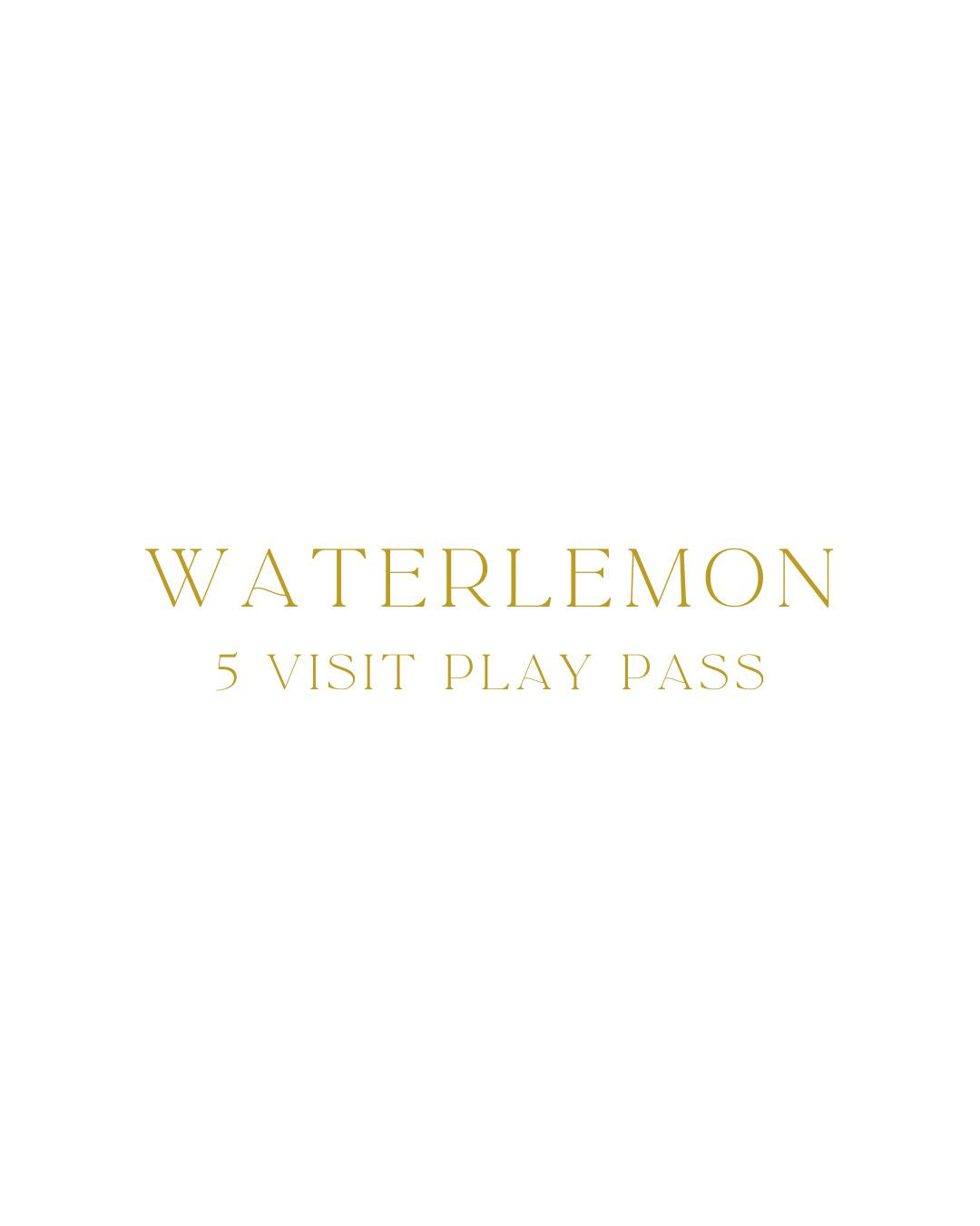5-Visit Play Pass