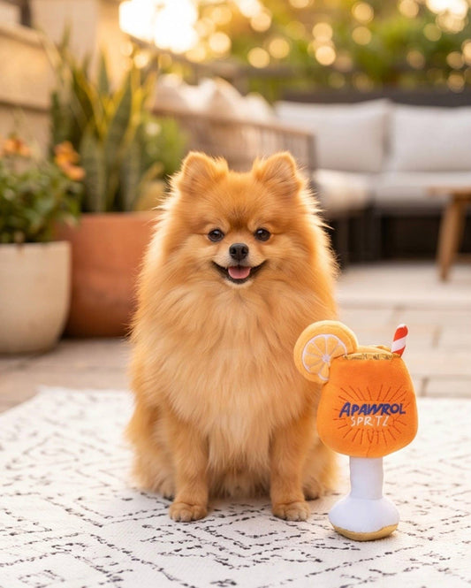Apawrol Spritz Dog Toy