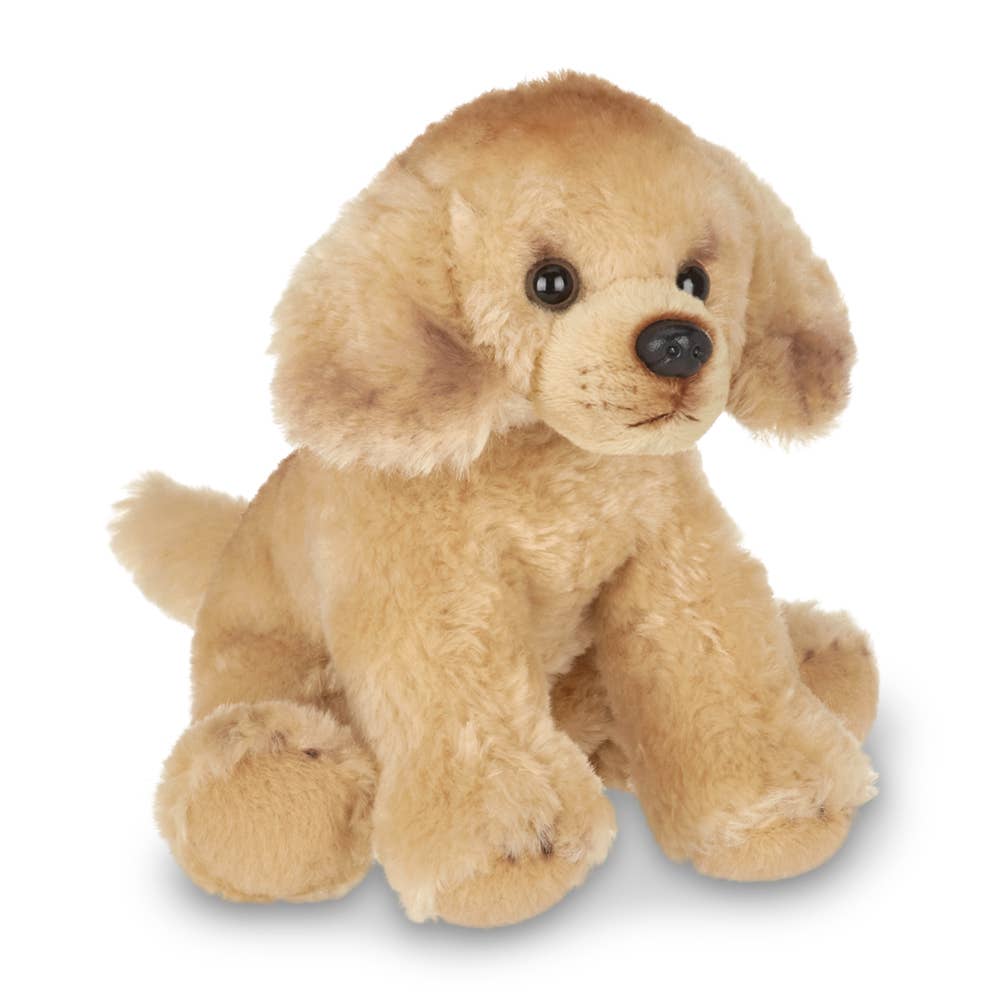 Goldie the Golden Retriever