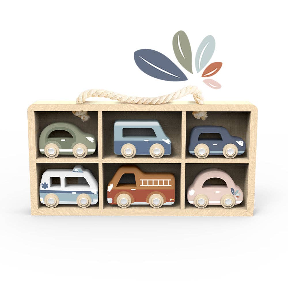 Car Display Case + Cars