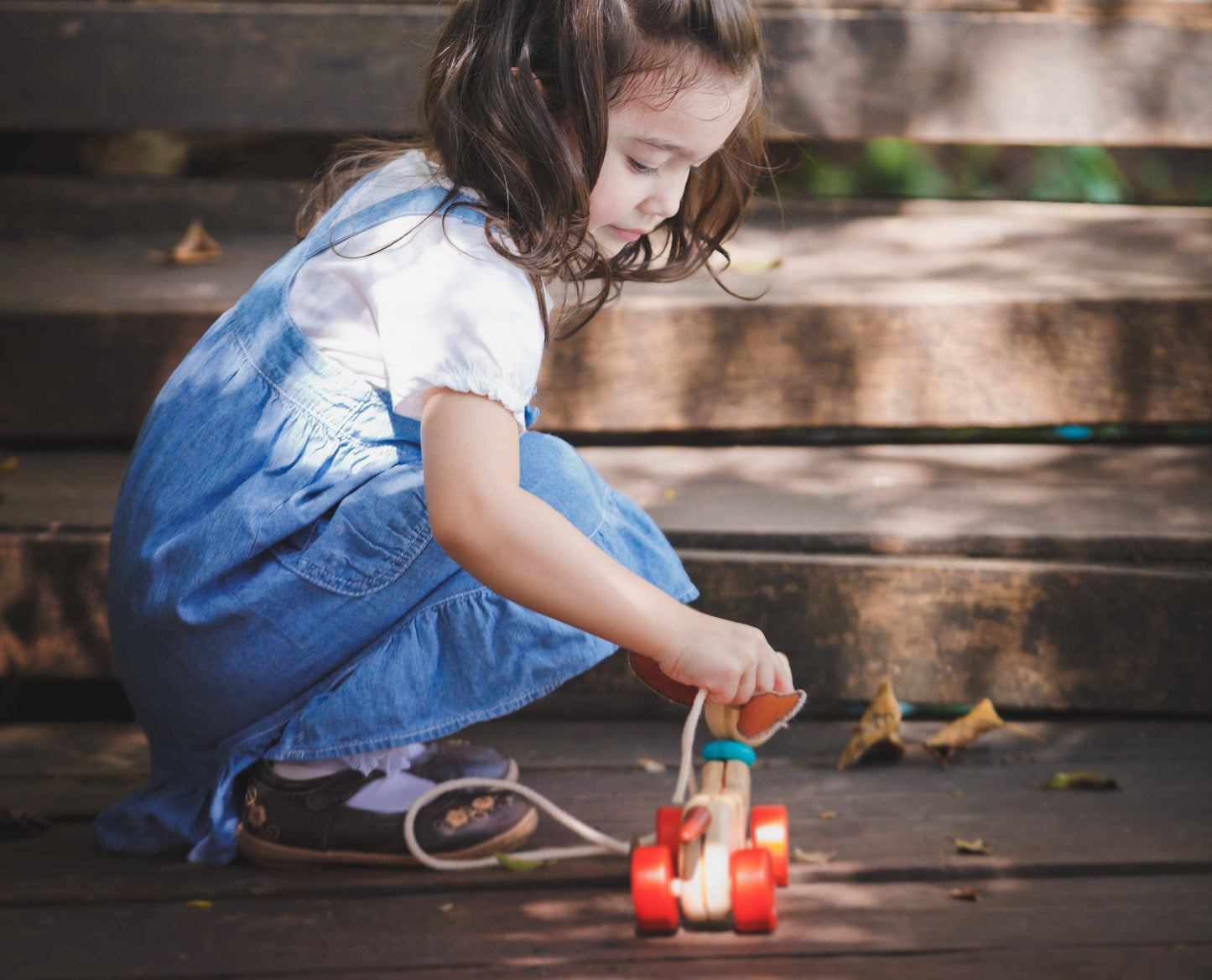 Happy Puppy Pull Along