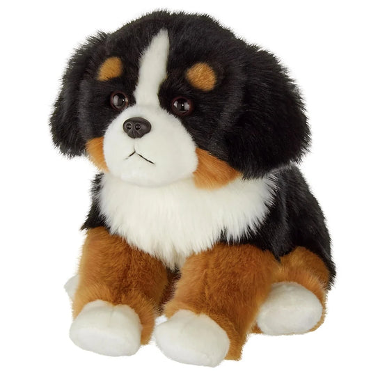 Stevie the Bernese Mountain Dog