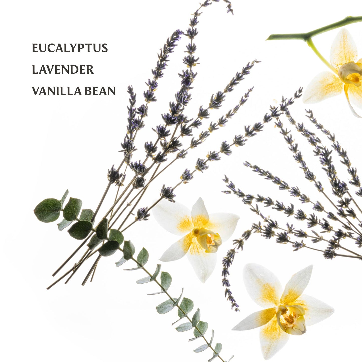 Pure Lavender Hand Sanitizer