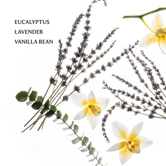 Pure Lavender Hand Sanitizer