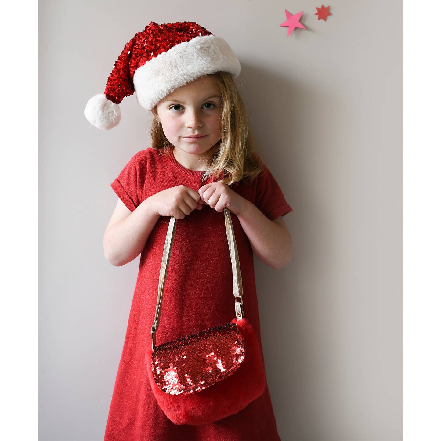 Sequin Velvet Bag