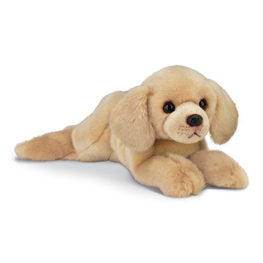 Tanner the Yellow Lab