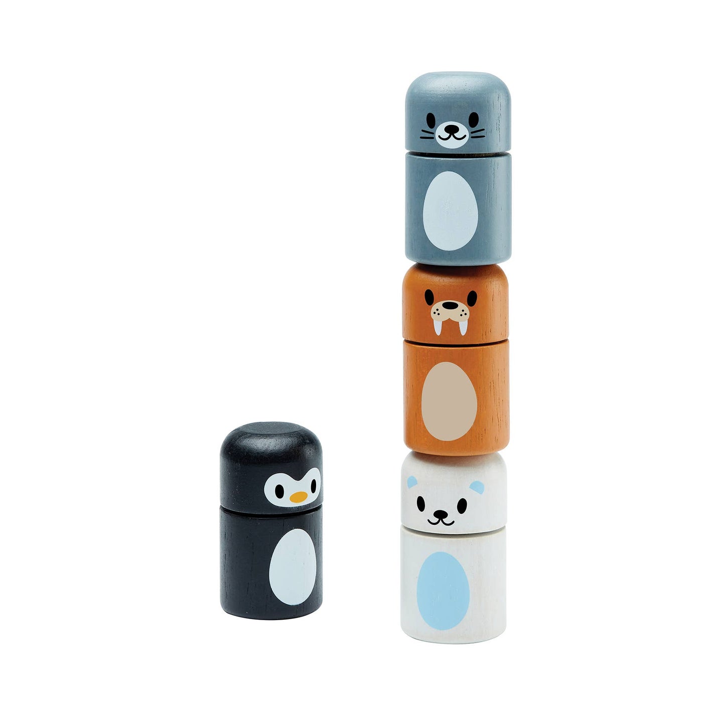Arctic Animal-Matching Toy