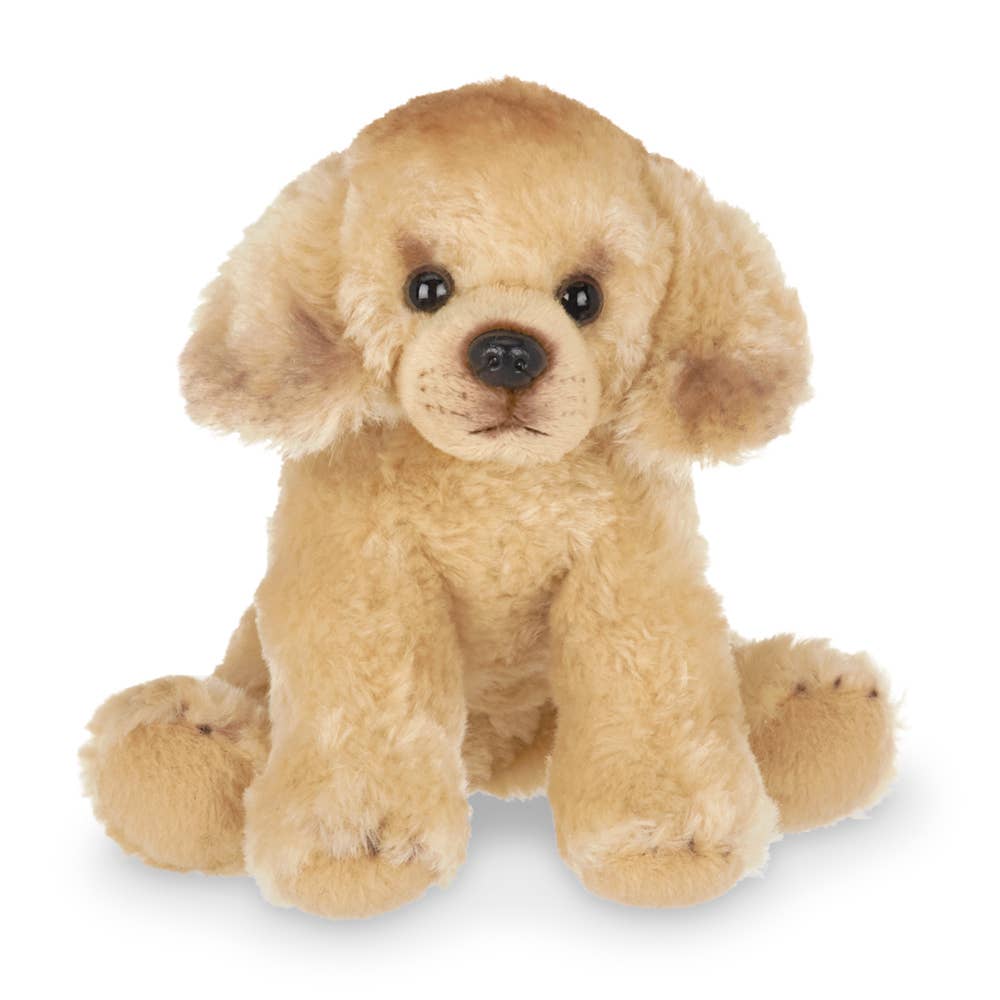 Goldie the Golden Retriever