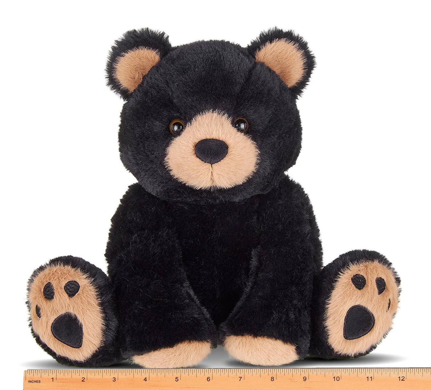 Woody the Black Bear