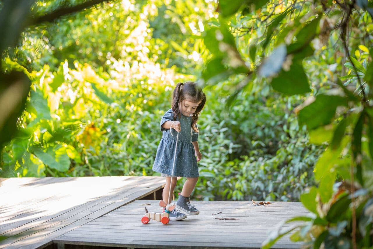 Happy Puppy Pull Along