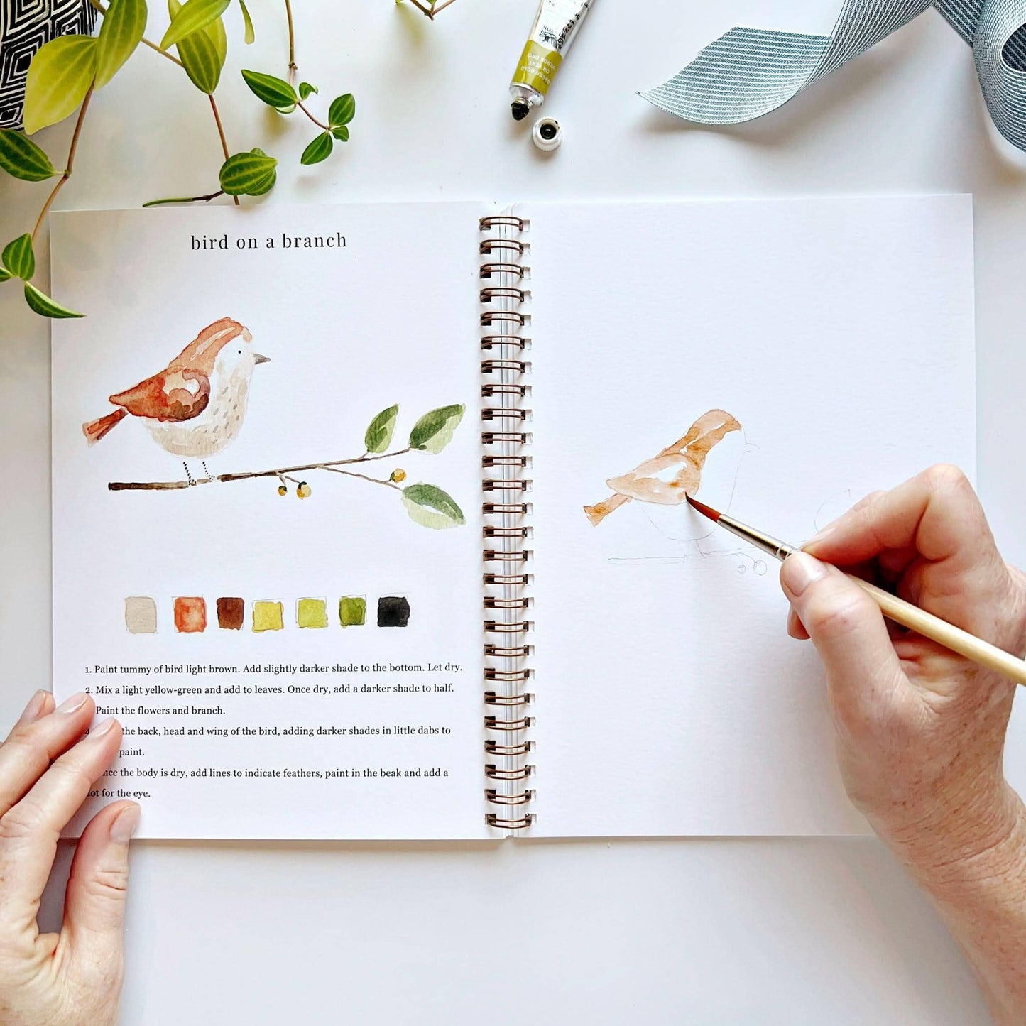 Animals Watercolor Book