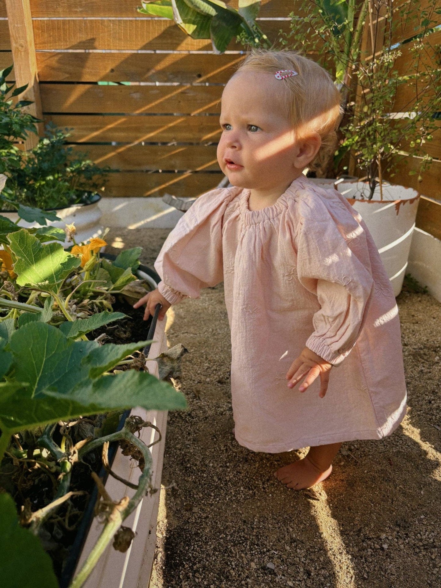 Bow Embroidery Gauze Cotton Dress