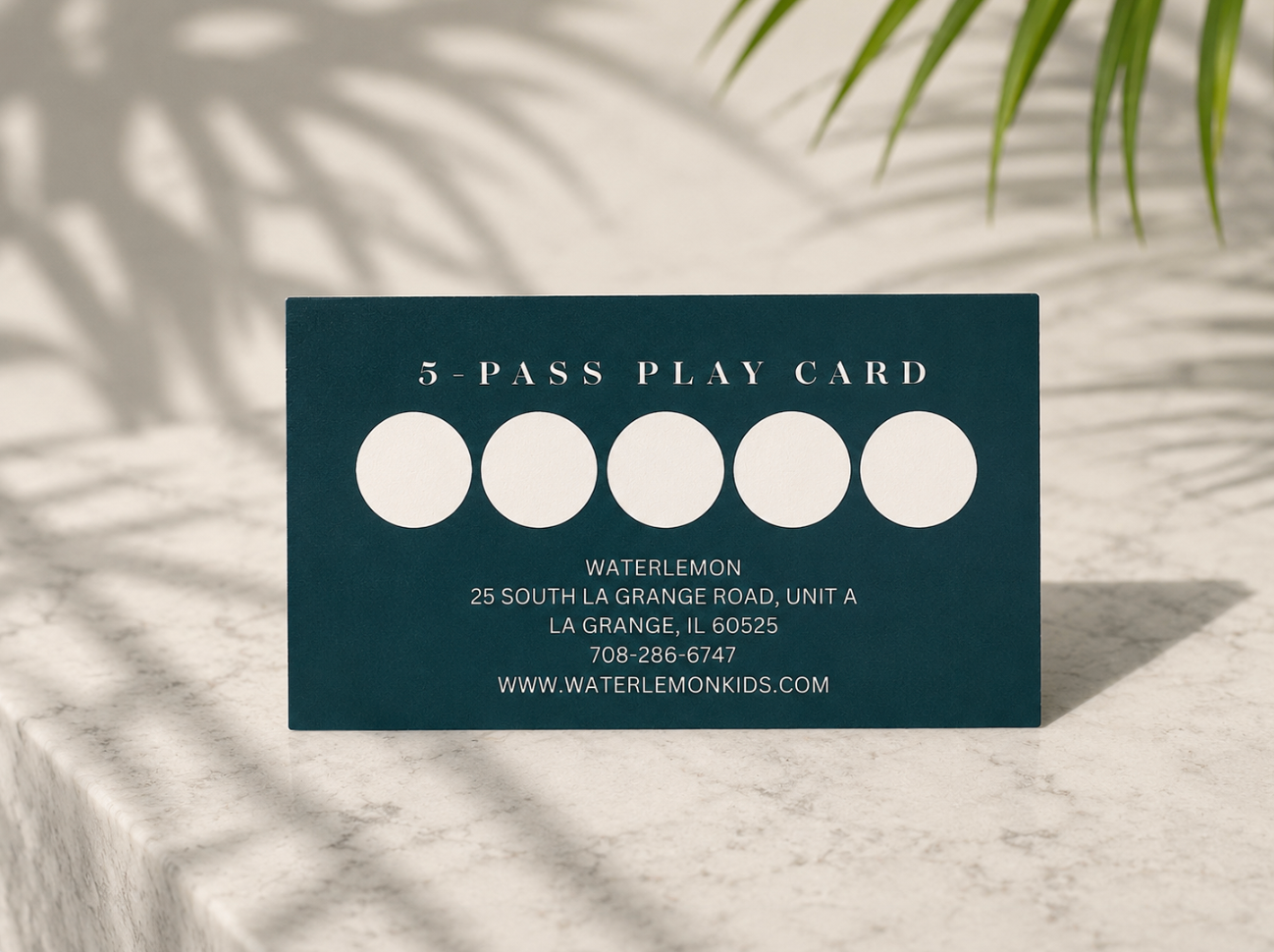 5-Visit Play Pass