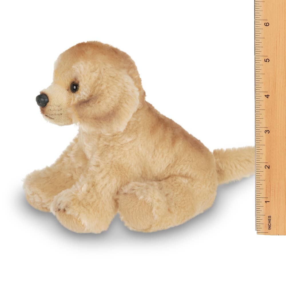 Goldie the Golden Retriever