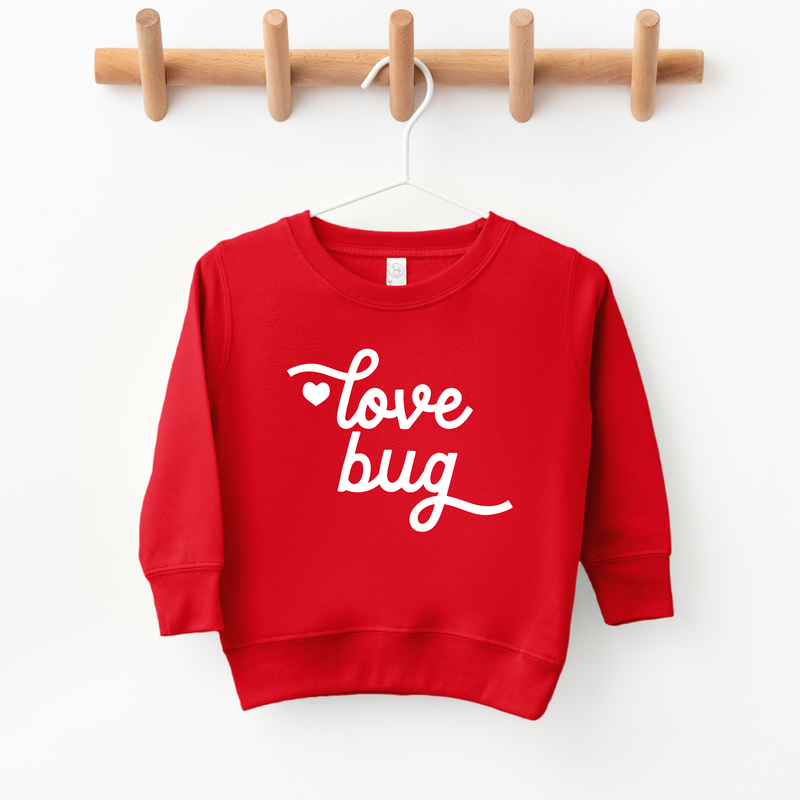 Love Bug Valentines Day Sweatshirt kids and Toddlers: Light Grey / 5T