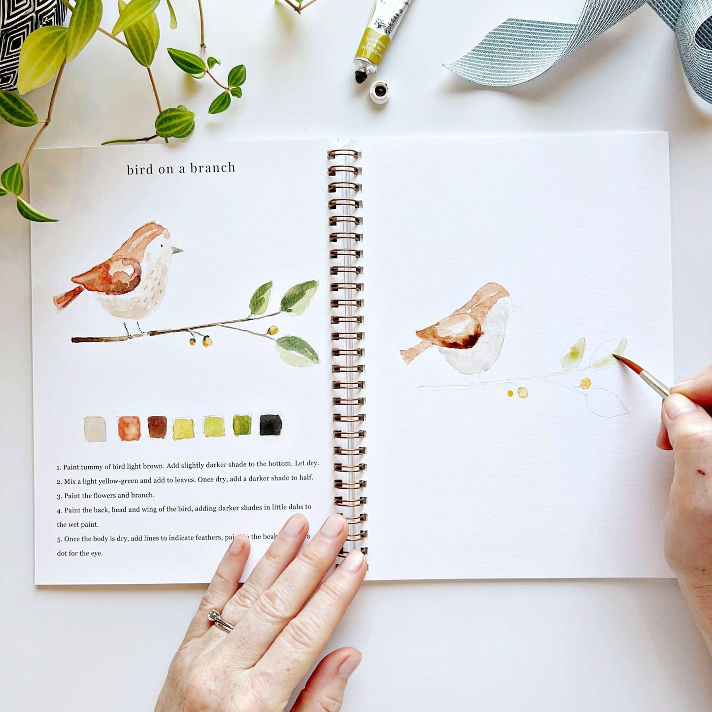 Animals Watercolor Book