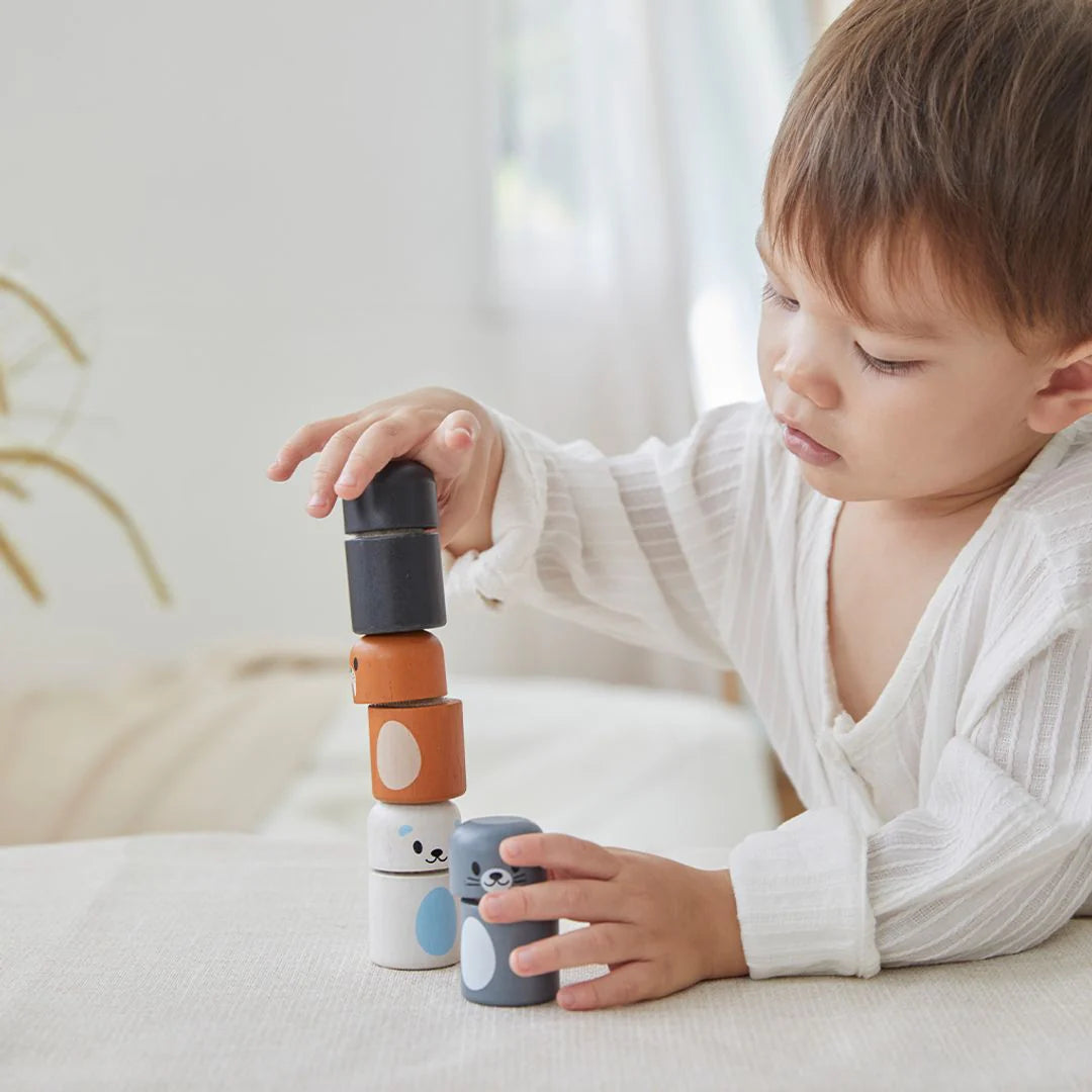Arctic Animal-Matching Toy