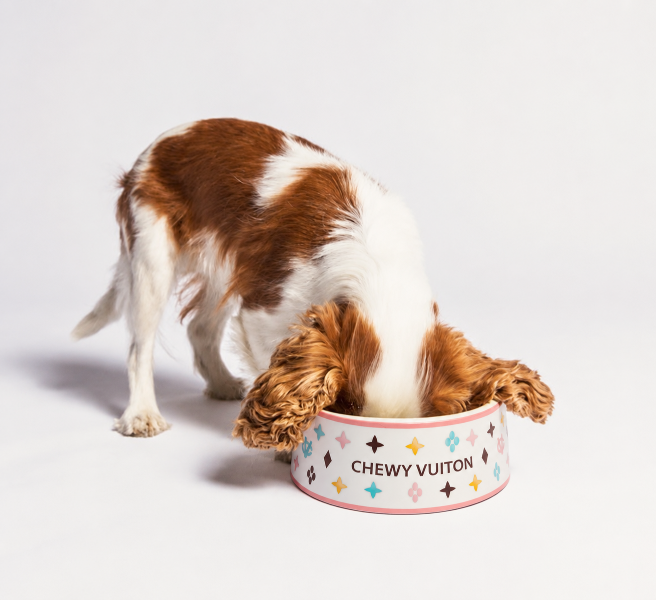 Chewy Vuiton Dog Bowl