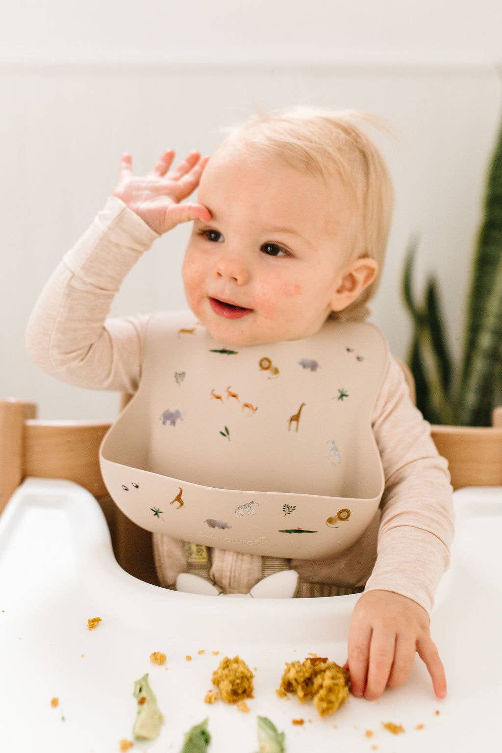 Silicone Bib