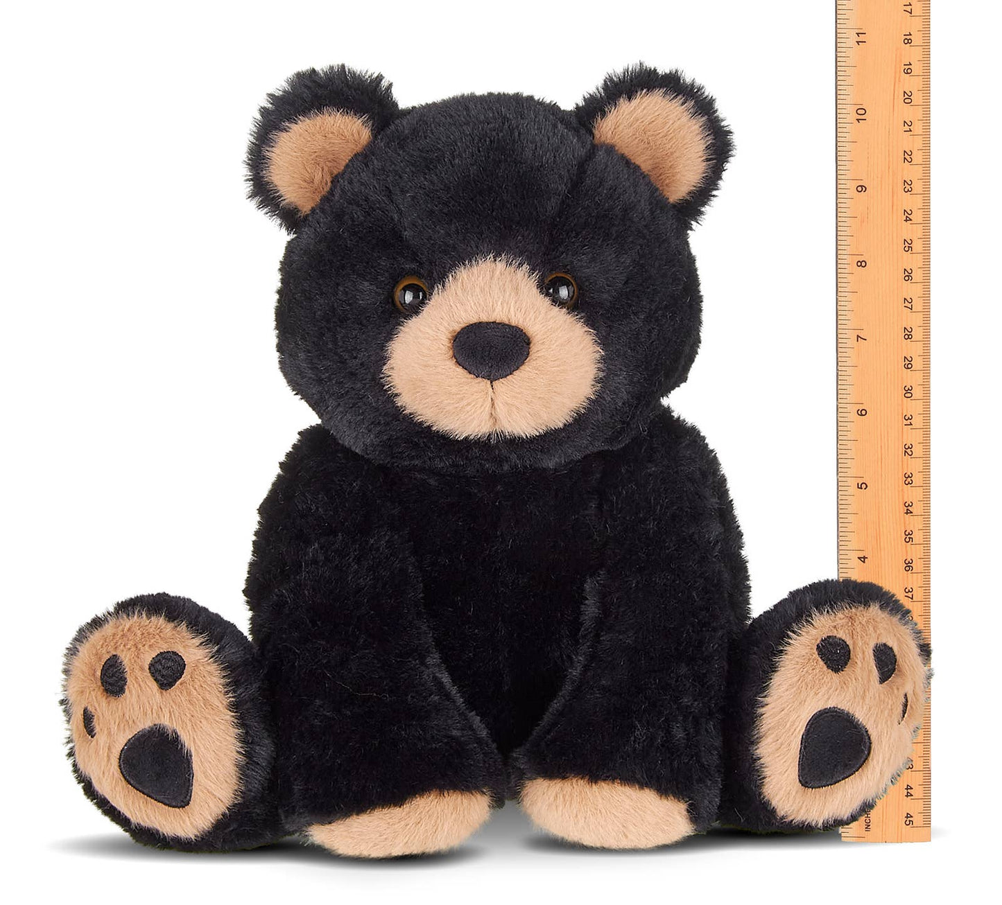 Woody the Black Bear
