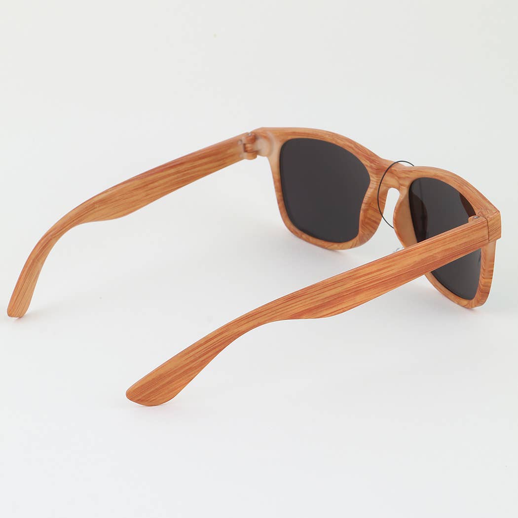 Wayfarer Sunglasses