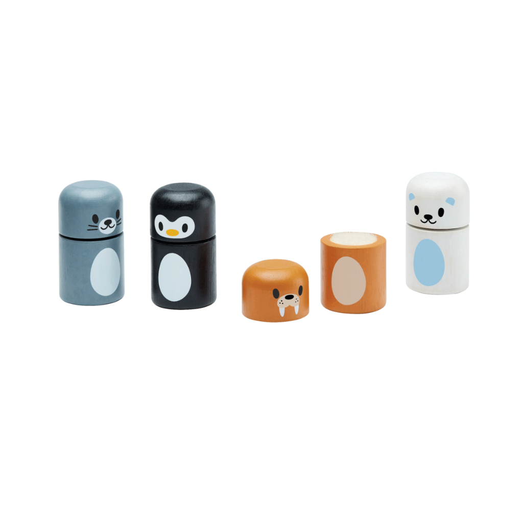 Arctic Animal-Matching Toy